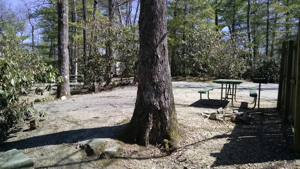 Linville Falls Campground, Rv Park, And Cabins Exterior photo
